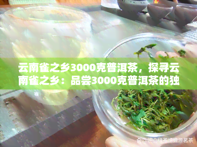 云南雀之乡3000克普洱茶，探寻云南雀之乡：品尝3000克普洱茶的独特韵味