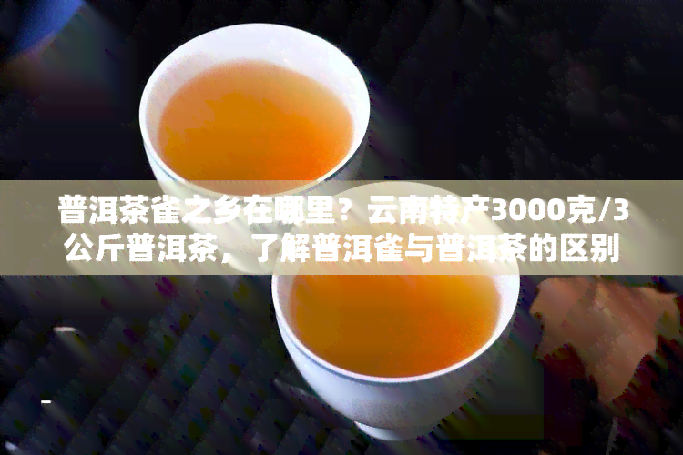 普洱茶雀之乡在哪里？云南特产3000克/3公斤普洱茶，了解普洱雀与普洱茶的区别