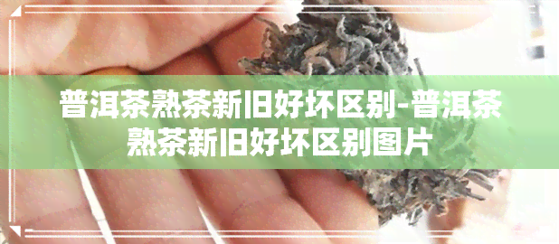 普洱茶熟茶新旧好坏区别-普洱茶熟茶新旧好坏区别图片