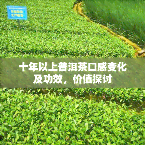 十年以上普洱茶口感变化及功效，价值探讨