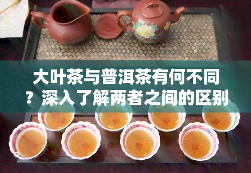 大叶茶与普洱茶有何不同？深入了解两者之间的区别！