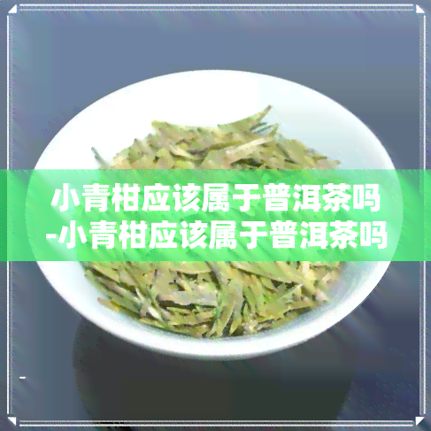 小青柑应该属于普洱茶吗-小青柑应该属于普洱茶吗为什么