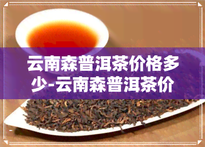 云南森普洱茶价格多少-云南森普洱茶价格多少钱一斤