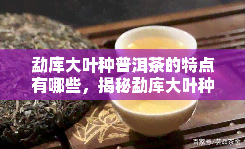 勐库大叶种普洱茶的特点有哪些，揭秘勐库大叶种普洱茶的独特特点