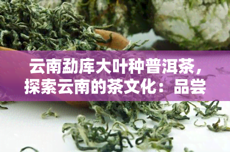 云南勐库大叶种普洱茶，探索云南的茶文化：品尝勐库大叶种普洱茶的独特风味