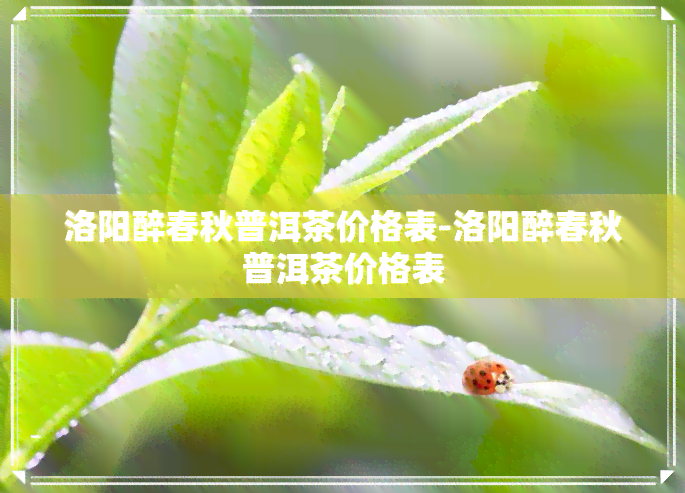 洛阳醉春秋普洱茶价格表-洛阳醉春秋普洱茶价格表