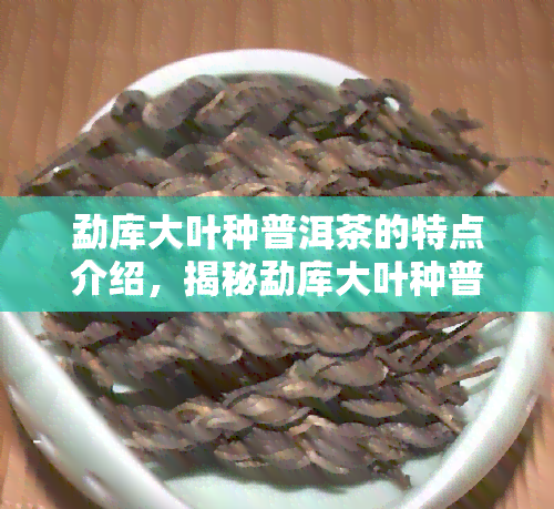 勐库大叶种普洱茶的特点介绍，揭秘勐库大叶种普洱茶的独特魅力