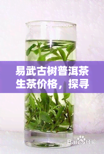 易武古树普洱茶生茶价格，探寻古韵风味：易武古树普洱茶生茶的市场价格解析