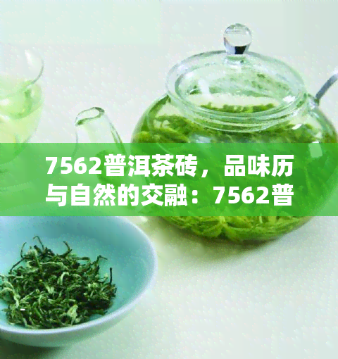 7562普洱茶砖，品味历与自然的交融：7562普洱茶砖的魅力探究