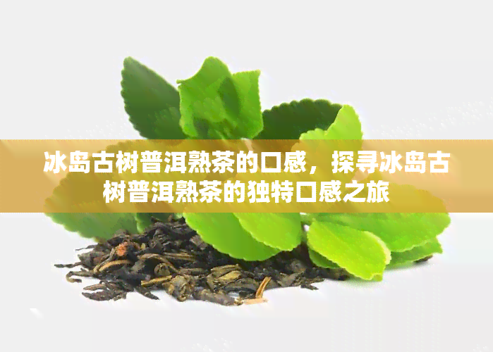 冰岛古树普洱熟茶的口感，探寻冰岛古树普洱熟茶的独特口感之旅