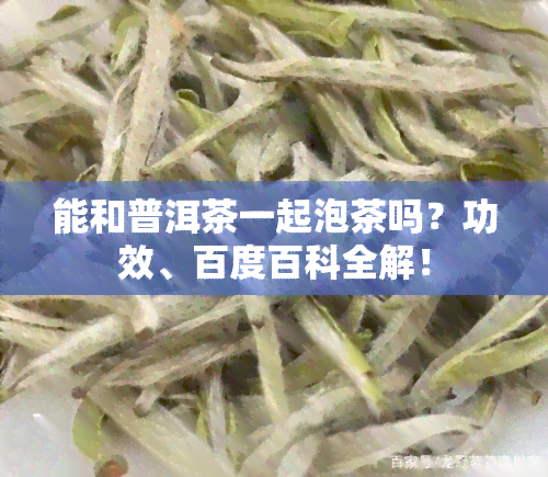 能和普洱茶一起泡茶吗？功效、百度百科全解！