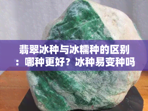 翡翠冰种与冰糯种的区别：哪种更好？冰种易变种吗？