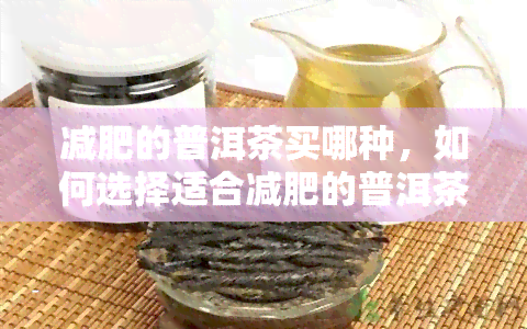 减肥的普洱茶买哪种，如何选择适合减肥的普洱茶？