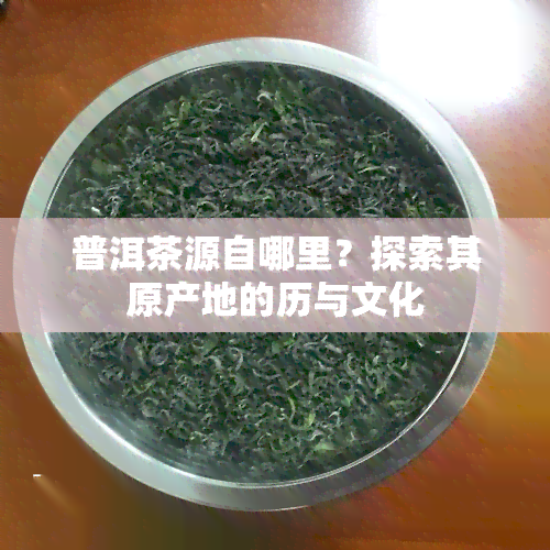 普洱茶源自哪里？探索其原产地的历与文化