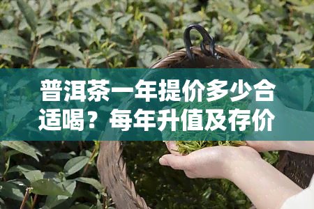 普洱茶一年提价多少合适喝？每年升值及存价格涨幅解析