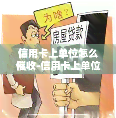 信用卡上单位怎么-信用卡上单位怎么的