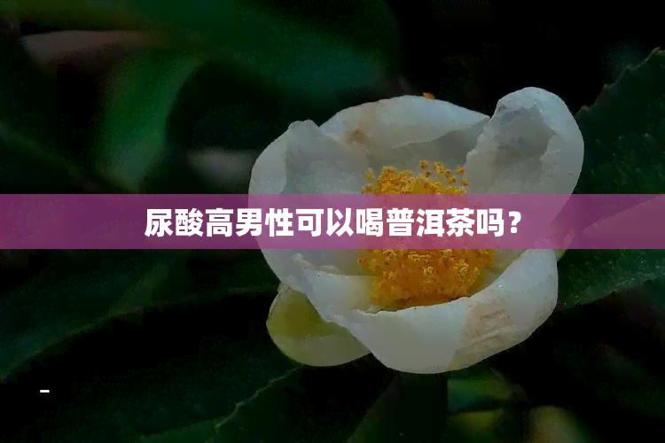 尿酸高男性可以喝普洱茶吗？