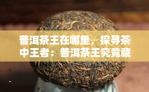 普洱茶王在哪里，探寻茶中王者：普洱茶王究竟藏身何处？