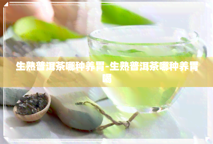 生熟普洱茶哪种养胃-生熟普洱茶哪种养胃喝