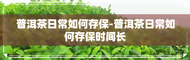 普洱茶日常如何存保-普洱茶日常如何存保时间长