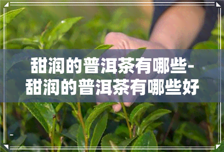 甜润的普洱茶有哪些-甜润的普洱茶有哪些好