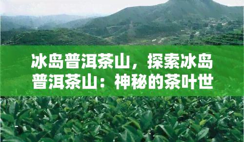 冰岛普洱茶山，探索冰岛普洱茶山：神秘的茶叶世界