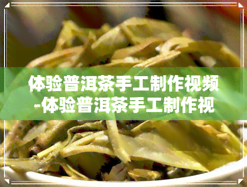 体验普洱茶手工制作视频-体验普洱茶手工制作视频教程