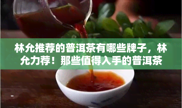 林允推荐的普洱茶有哪些牌子，林允力荐！那些值得入手的普洱茶