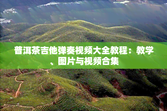 普洱茶吉他弹奏视频大全教程：教学、图片与视频合集