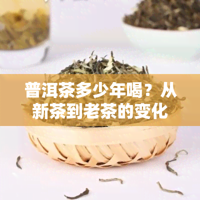 普洱茶多少年喝？从新茶到老茶的变化与品尝技巧