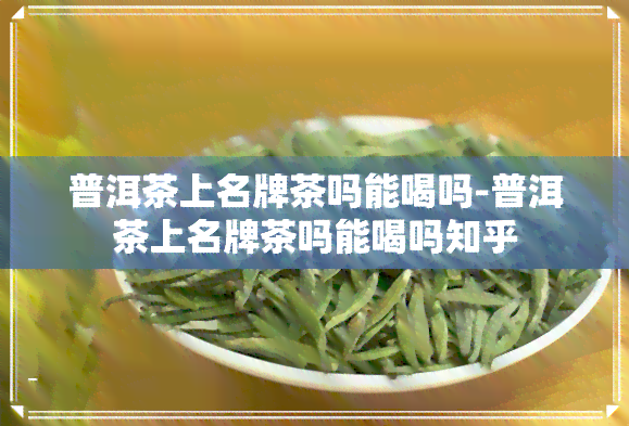 普洱茶上名牌茶吗能喝吗-普洱茶上名牌茶吗能喝吗知乎