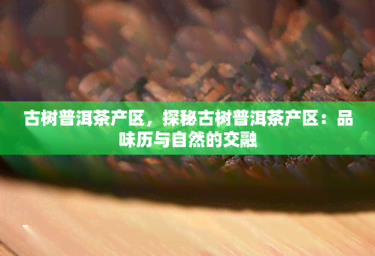 古树普洱茶产区，探秘古树普洱茶产区：品味历与自然的交融