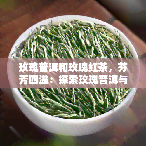 玫瑰普洱和玫瑰红茶，芬芳四溢：探索玫瑰普洱与玫瑰红茶的魅力