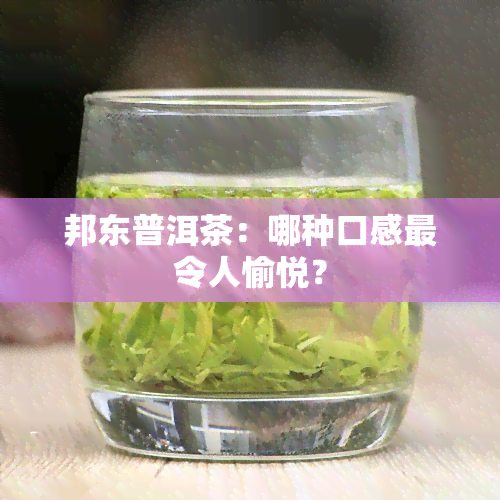 邦东普洱茶：哪种口感最令人愉悦？