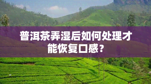 普洱茶弄湿后如何处理才能恢复口感？