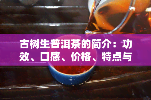 古树生普洱茶的简介：功效、口感、价格、特点与好处全解析