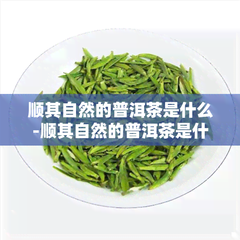 顺其自然的普洱茶是什么-顺其自然的普洱茶是什么茶