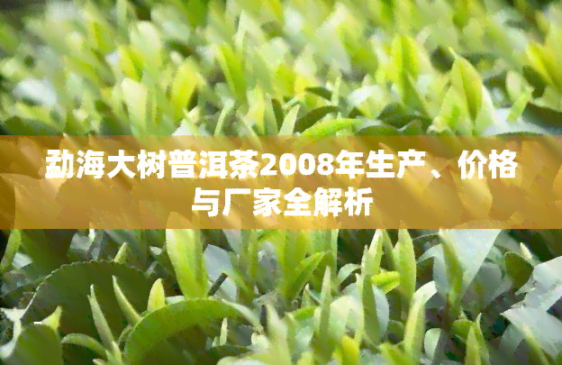 勐海大树普洱茶2008年生产、价格与厂家全解析