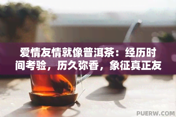 爱情友情就像普洱茶：经历时间考验，历久弥香，象征真正友谊