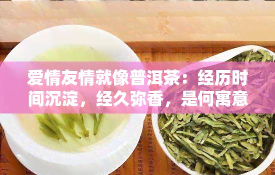 爱情友情就像普洱茶：经历时间沉淀，经久弥香，是何寓意？