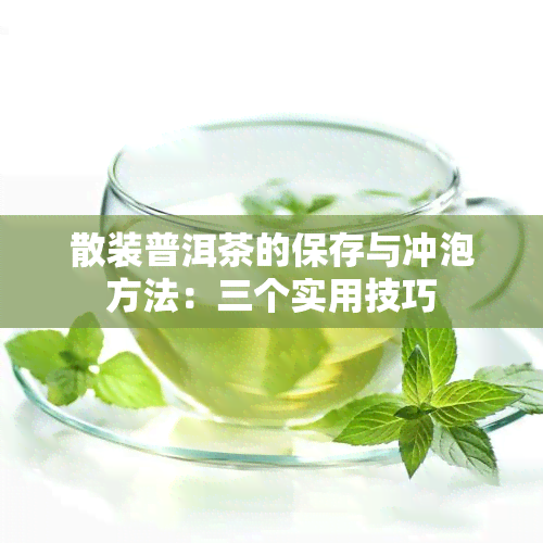 散装普洱茶的保存与冲泡方法：三个实用技巧