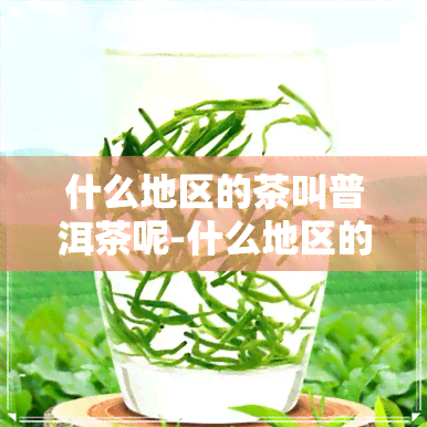 什么地区的茶叫普洱茶呢-什么地区的茶叫普洱茶呢图片