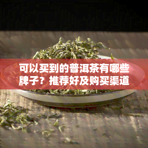 可以买到的普洱茶有哪些牌子？推荐好及购买渠道