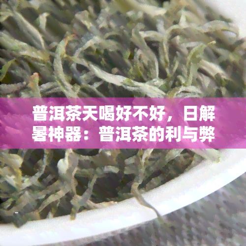 普洱茶天喝好不好，日解暑神器：普洱茶的利与弊