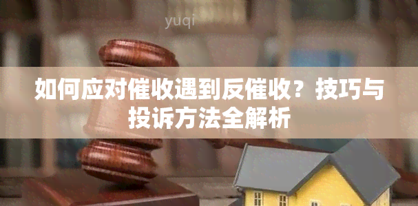 如何应对遇到反？技巧与投诉方法全解析