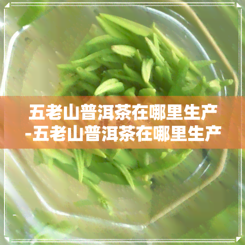 五老山普洱茶在哪里生产-五老山普洱茶在哪里生产的