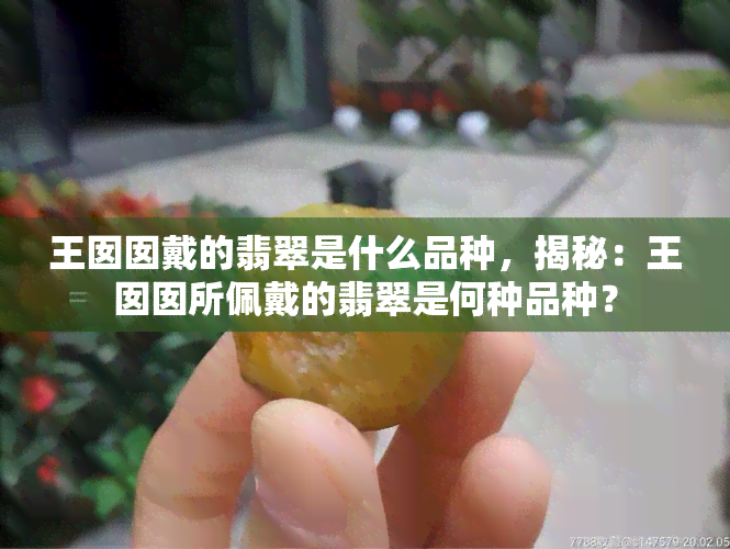 王囡囡戴的翡翠是什么品种，揭秘：王囡囡所佩戴的翡翠是何种品种？