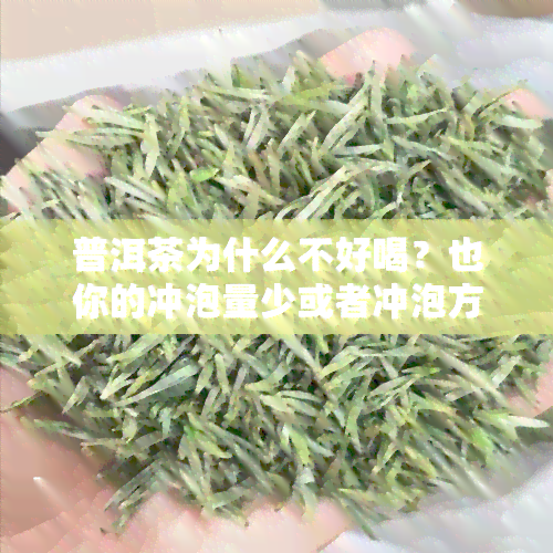 普洱茶为什么不好喝？也你的冲泡量少或者冲泡方法不对。