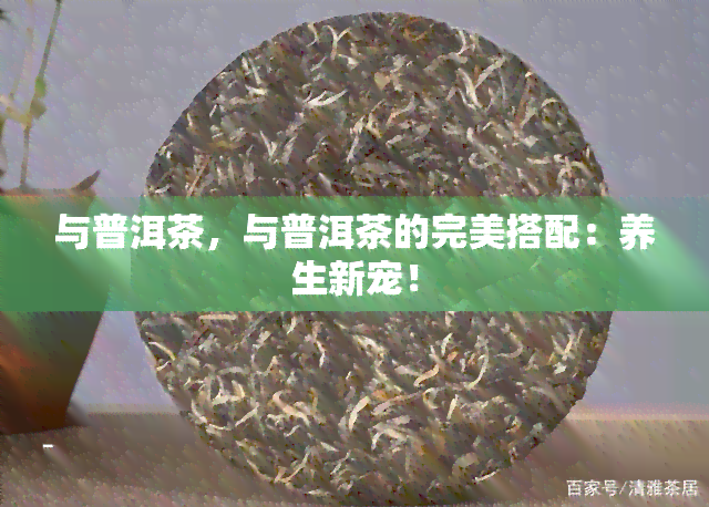 与普洱茶，与普洱茶的完美搭配：养生新宠！