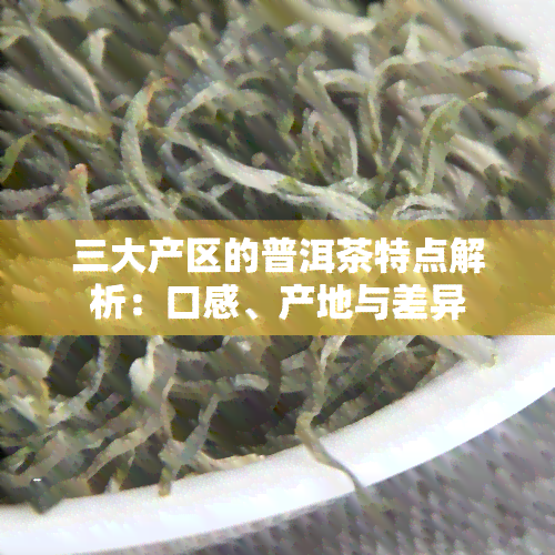 三大产区的普洱茶特点解析：口感、产地与差异